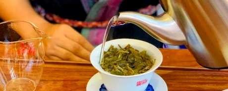 易武茶产自哪里？