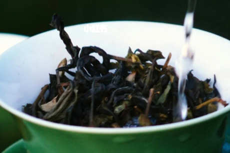 易武茶产自哪里？