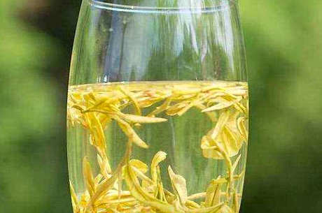 十大黄茶及品质特色