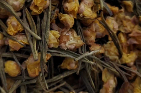 冬天喝什么花茶好？
