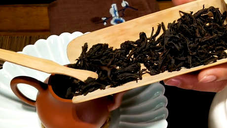 什么茶属于大红袍？