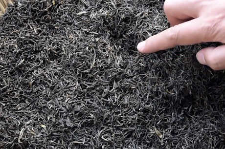 过期茶的八大妙用