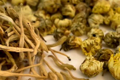 什么搭配金银花好喝？