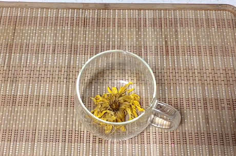 谁不能喝金黄菊花？