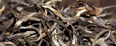 贺开古树茶属于哪个茶区？
