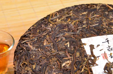 云南有哪些产茶区？