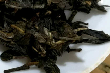 云南哪里生产普洱茶？