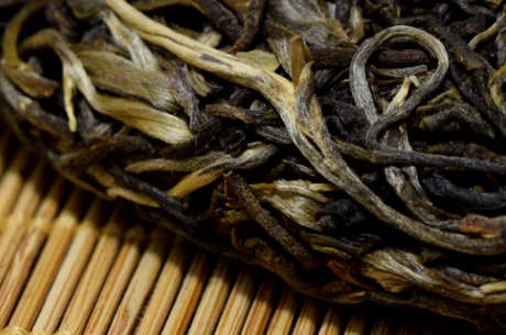 云南哪里生产普洱茶？