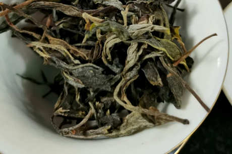 云南普洱茶的酿造方法