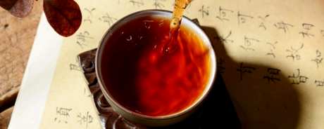沧元在哪里产普洱茶？