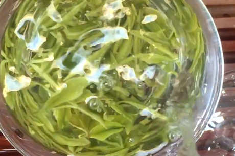 菊花泡水喝的九大禁忌