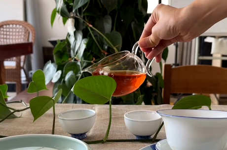 六大茶的基本常识