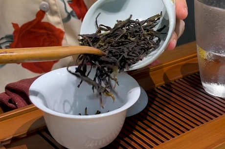 六大茶的基本常识