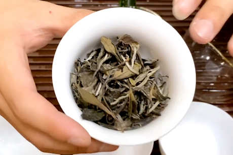 六大茶的基本常识