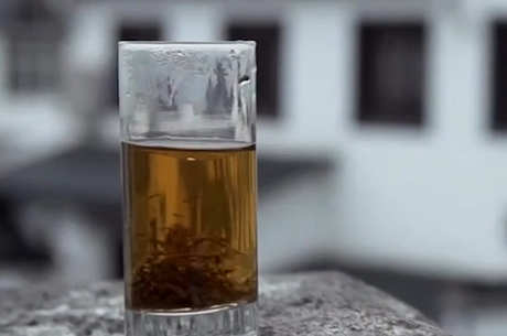 六大茶的基本常识