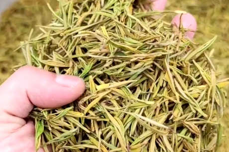 六大茶的冲泡方法