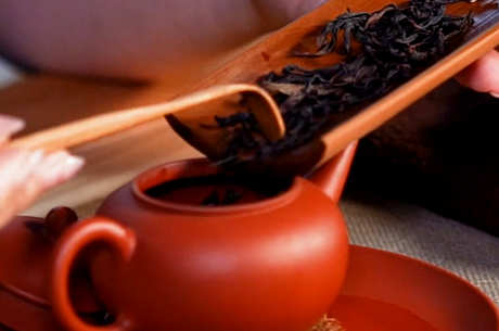 凤凰单丛茶属于什么茶系？