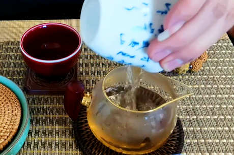 谁不能喝茯茶？