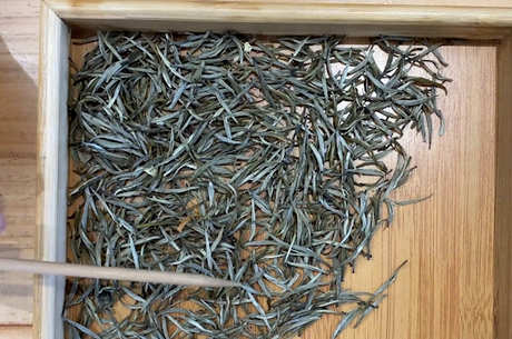 峨眉山出什么茶？