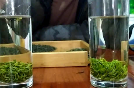 峨眉山出什么茶？