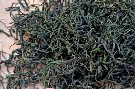 峨眉山出什么茶？