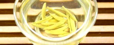 普洱黄茶有哪些品种？