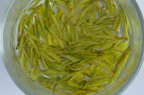 普洱黄茶有哪些品种？