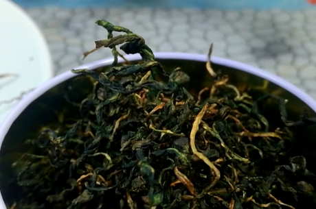 如何自己做蒲公英花茶？