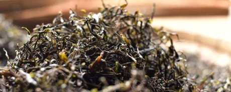 普洱茶四大产区是哪四个地区？