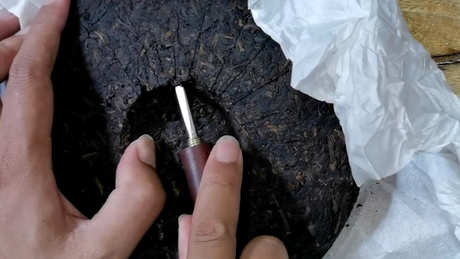 普洱茶的产地在哪里？