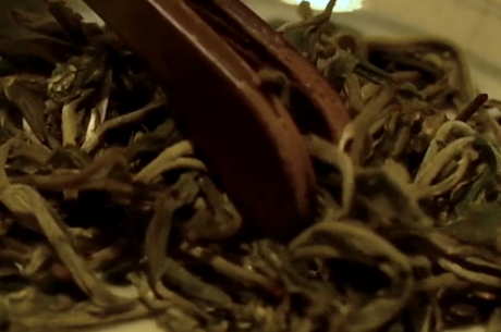 女孩每天喝绿茶的危害