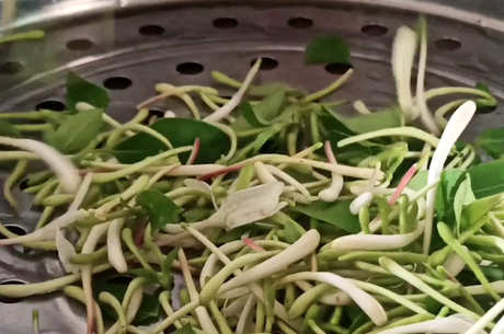 女生喝金银花茶的好处