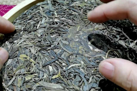 普洱茶的保质期一般是多久？