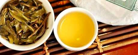 云南楚雄产普洱茶吗？