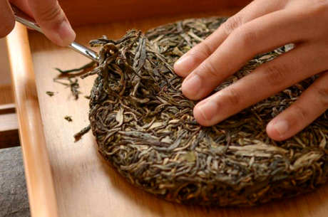 云南普洱生产普洱茶吗？