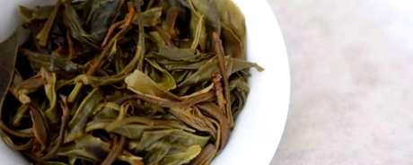 中茶普洱茶7541是什么意思？
