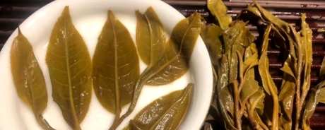 易武茶区五大茶山