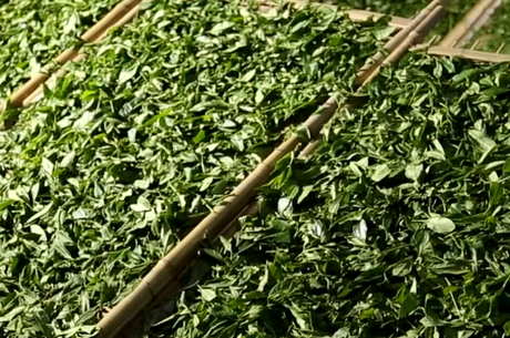 中国十大名茶有哪些？