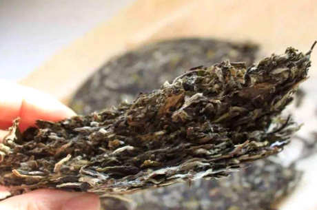 普洱茶长绿毛还能喝吗？