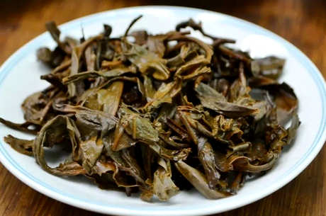 普洱茶长绿毛还能喝吗？