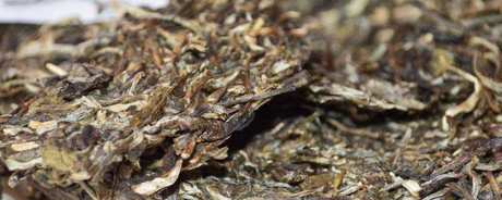 普洱茶一般放几年