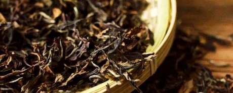 冲泡普洱茶的最佳方法