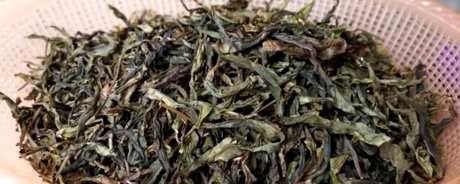 普洱茶区的特点