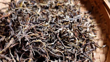 普洱茶有保质期吗？