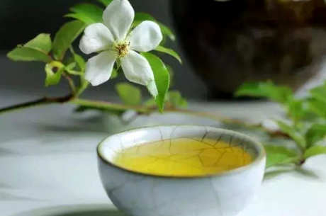 什么是普洱绿茶？
