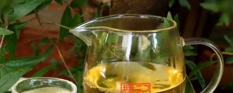 普洱茶和绿茶的区别