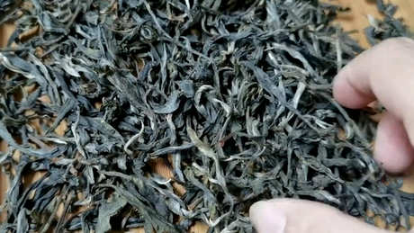 能喝一夜茶吗？