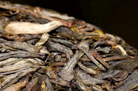 什么是普洱绿茶？