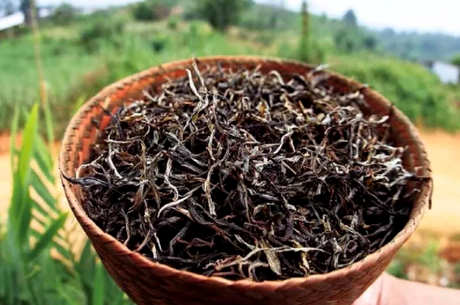 普洱绿茶的功效