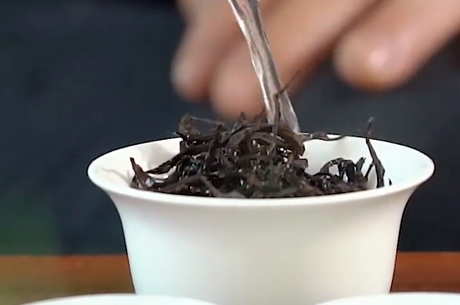 单杉属于什么类型的茶？